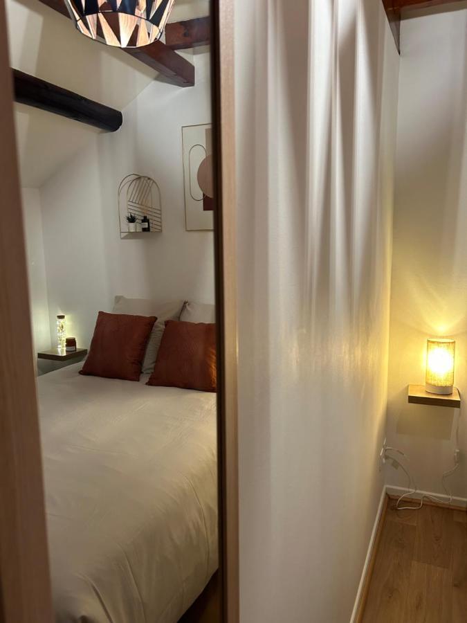 Le P'tit Millesime - Hypercentre Apartment *