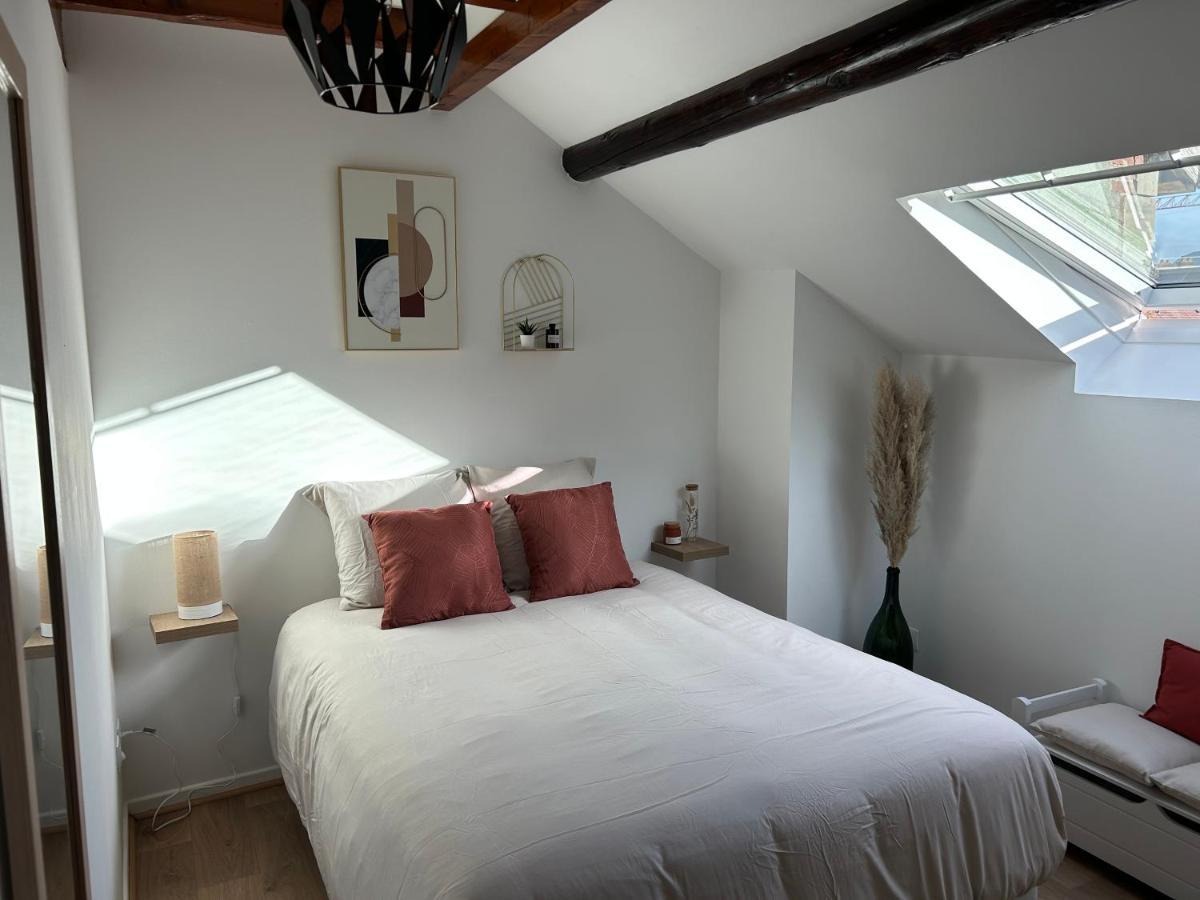Le P'tit Millesime - Hypercentre Apartment