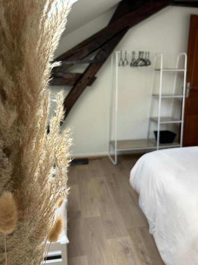 Le P'tit Millesime - Hypercentre Apartment